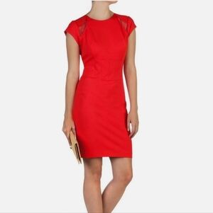 Ted Baker London Josias Red Mesh Panel Dress Size 0